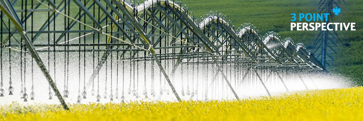 Irrigation system sprays water on a field of yellow rapeseed