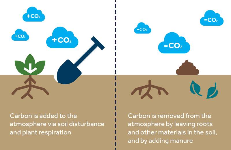 Carbon farming