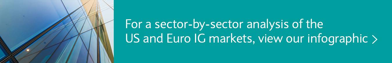For a sector-by-sector analysis of the US and euro IG markets, view our infographic