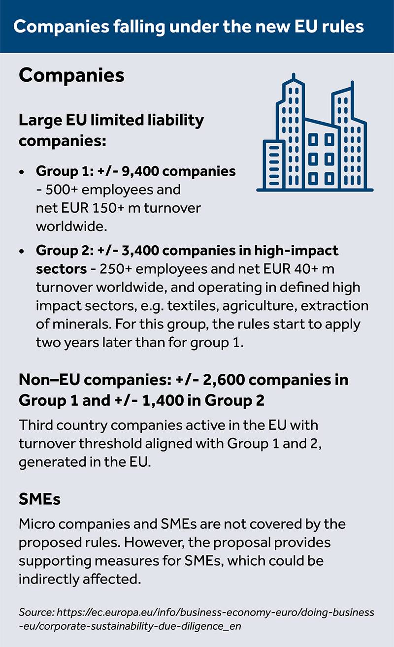 Companies falling under the new EU rules