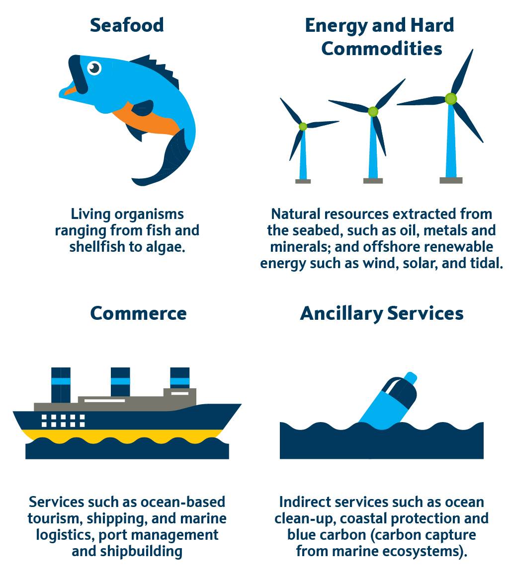 The ocean economy, while a nebulous concept, can be divided into the following four sectors