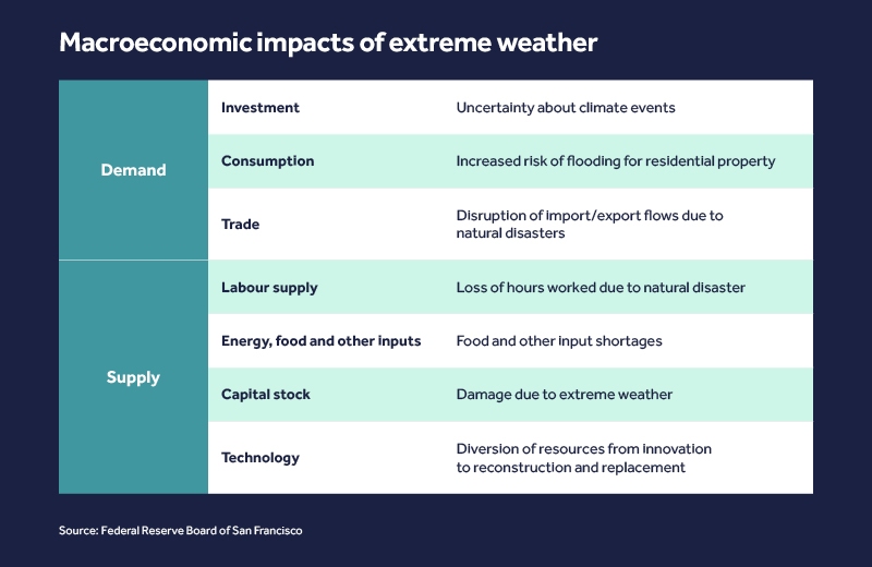 Macroeconomic impacts of extreme weather
