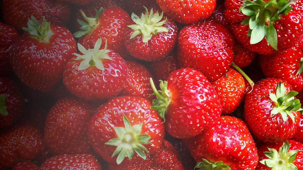 80 Acres Farms' Strawberry Crop at Wimbledon