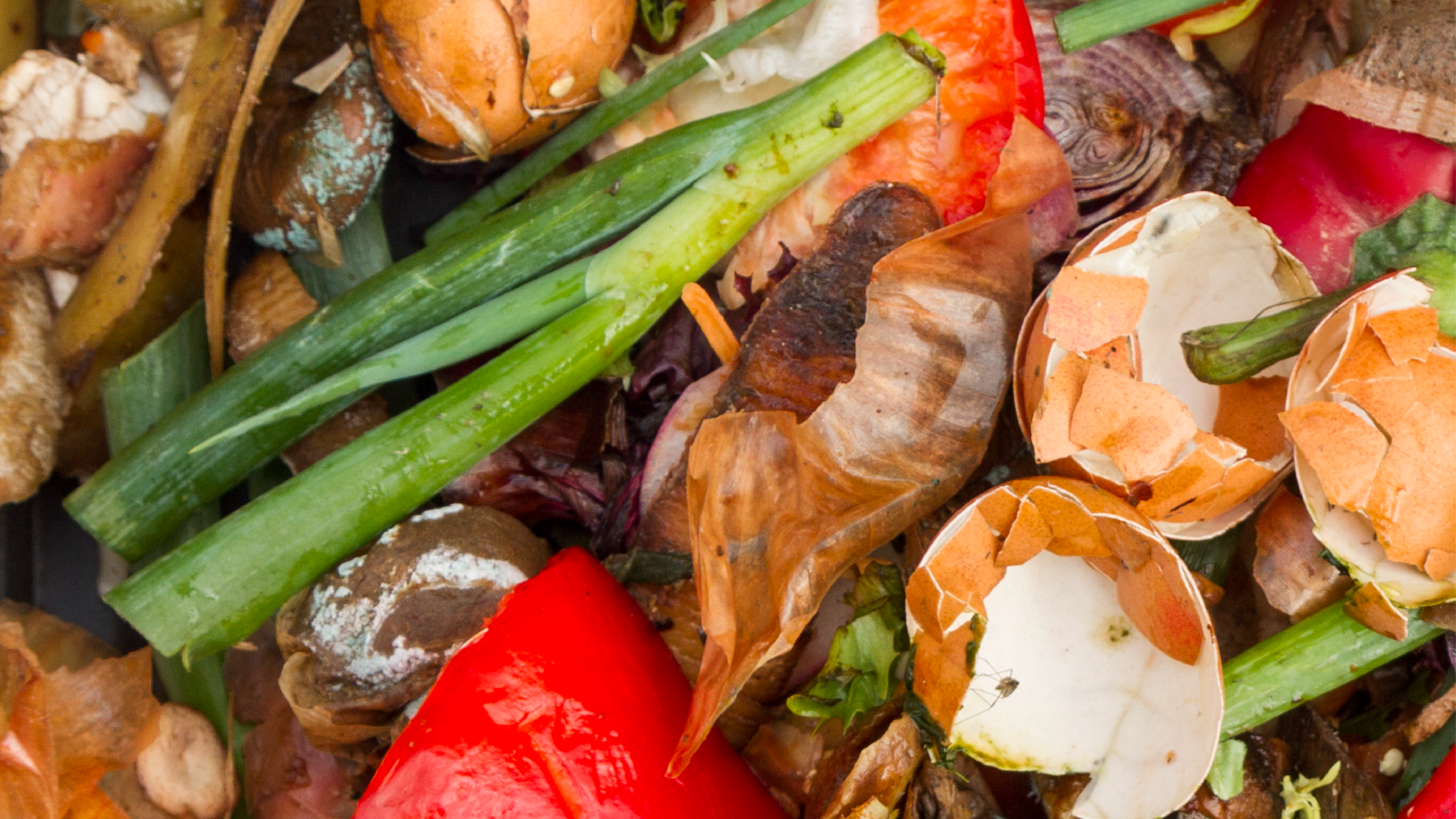 Food Waste: Ripe for change