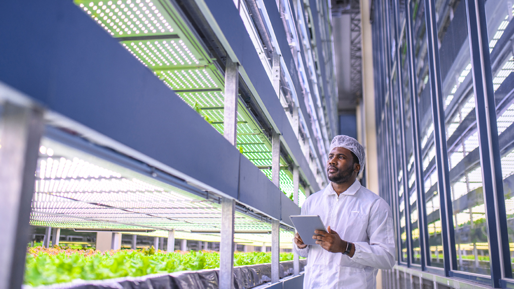 Vertical Farming: Green agriculture on the rise