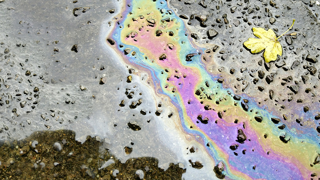 An oily residue on the shore of a pond where a leaf floats