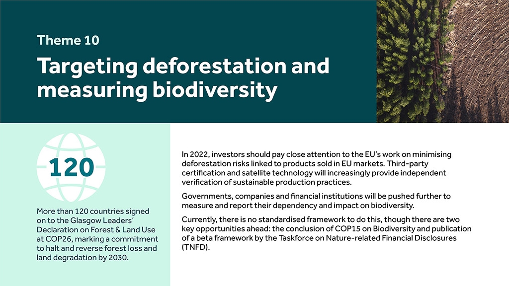 Targeting deforestation and measuring biodiversity