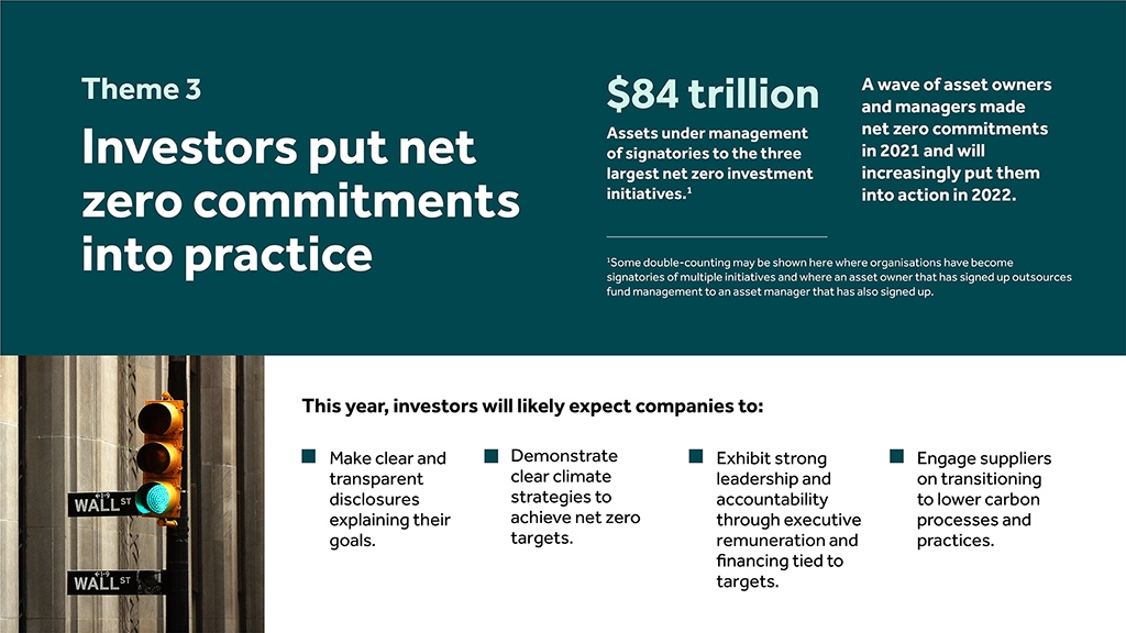 Investors put net zero commitments into practice